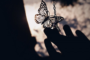 , black, butterfly, colors, fashion, love, nature, photography, quote ...