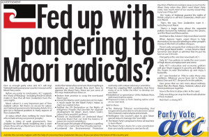 Fed up with pandering to Maori radicals?