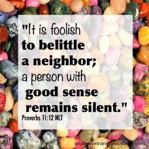 ... nieghbor; a person with good sense remains silent (Proverbs 11:12
