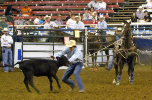Calf Roping Quotes The calf ropers was from