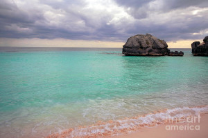 The Pink Sand Beach Bermuda