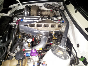 never narc'd on nobody!