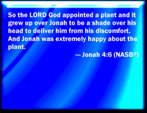 Jonah 4:6 Bible Verse Slides