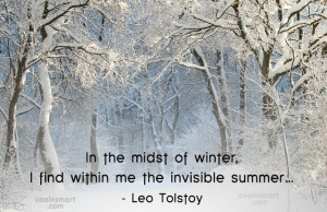Winter Quotes Sayings About Season 38 CoolNSmart