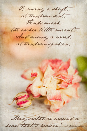 Friday, April 29, 2011