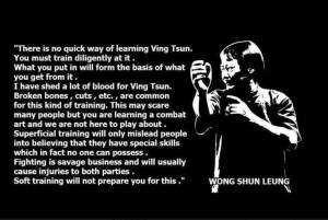 ... this image to read a very weighty quote about martial arts training