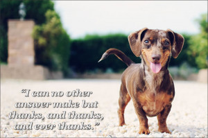 Twelfth Night, III.iiiImage source: Allen SkyHappy Thanksgiving this ...