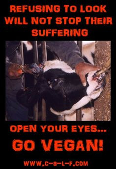 Vegan Quote, Factory Farms, Animals Cruelty, Animals Abuse, Govegan ...