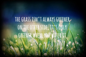 The Grass Is Always Greener On the Other Side