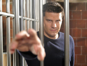 Angel - David Boreanaz