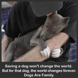 Shelter Dog Quotes Rescue dog