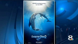 Dolphin Tale 2' trailer screened in Clearwater