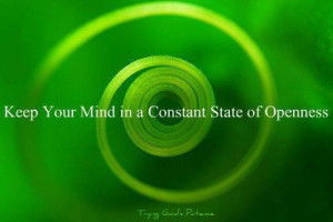 Keep Your Mind in a Constant State of Openness