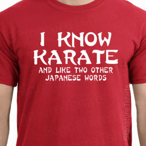 Funny Karate (47)