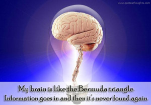 Funny Quotes-Thoughts-Bermuda Triangle-Best Quotes