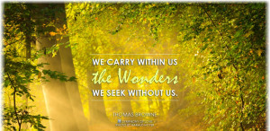 We carry within us the wonders we seek without us