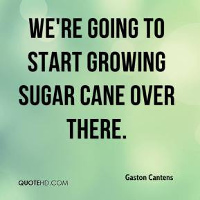 Quotes About Sugar
