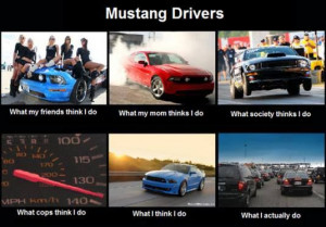 Funny Mustang Meme