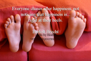 Happiness-Quotes-Everyone-chases-after-happiness-not-noticing-that ...