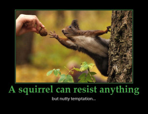 Cutest Squirrel and Nuts Temptation