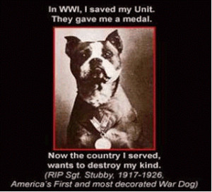 ... was also a Pit Bull -- one of our country's most misunderstood breeds