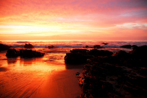 south_african_sunrise_lsf_by_strangledbyart-d2y1ng9.jpg