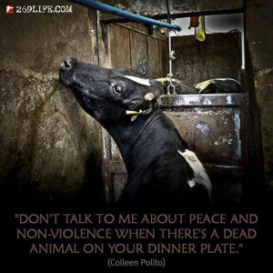 to me about peace and non violence when there s a dead animal on your ...