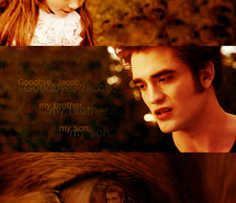 The imprint quote from Twilight Eclipse the movie by Jacob? . (22) new ...