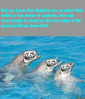 ... what dolphins are saying when they make those funny noises did