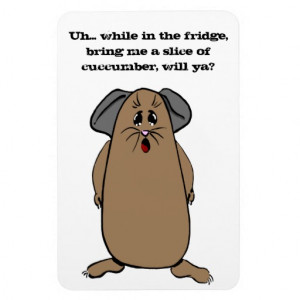 Guinea Pig Sayings Flexible Magnet