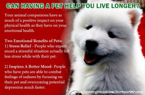 Having A Pet Can Help You Live Longer