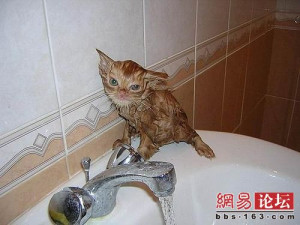 洗澡偷拍图,丑态百出啊!!!(哈,笑死偶鸟!!!)