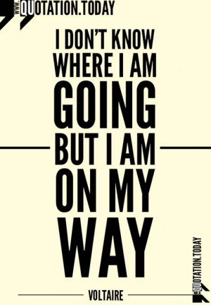 Voltaire quotes. On Life.