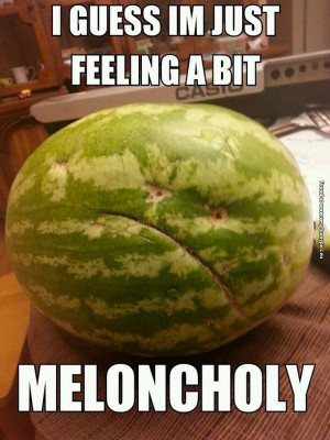 funny-pictures-melon-feels-meloncholy