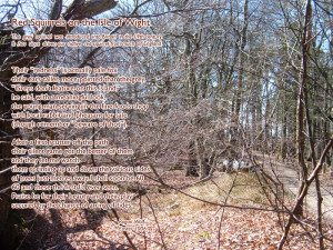 Social Worker Poem Rogan wolf poet and social