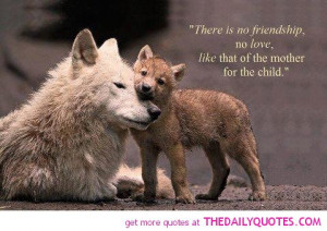 ... quotes sayings poems poetry pic picture photo image friendship famous