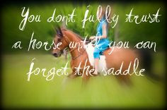 Horse Quotes About Trust You don't fully trust a horse