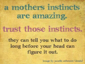 Mothers instinct