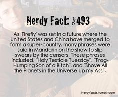 - Firefly.. WOW! My husband is Taiwanese and is fluent in Mandarin ...