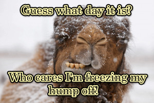 Guess what day it is quotes quote funny quotes days of the week humor ...