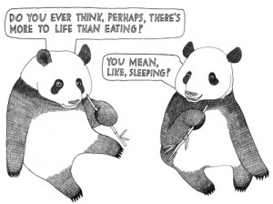 cute, drawing, eat, funny, joke, life, panda, pandas, quote, sleep