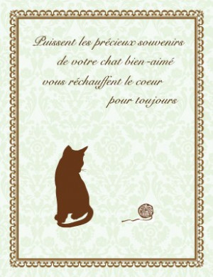 Cat Sympathy - French