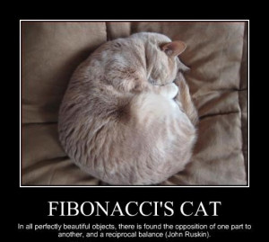 Fibonacci’s cat