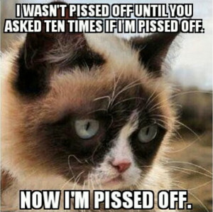 Grumpy Cats