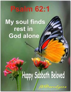 Happy Sabbath More