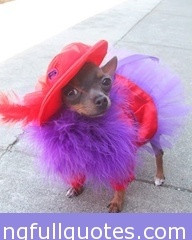 Red Hat Society Day Dog - Meaningful quotes and inspirational quotes