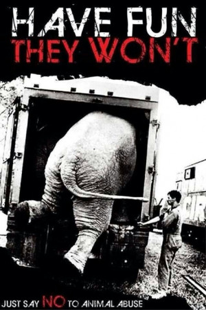 Anti-circus, elephant abuse. NO LIVE ANIMALS CIRCUSES! GET YOUR KICKS ...