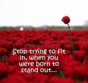 Stop trying to fit in, when you were born to stand out….
