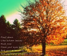 Autumn Leaves Quotes Tumblr