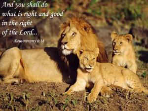 ... shall do what is right and good in the sight of the lord - Bible Quote